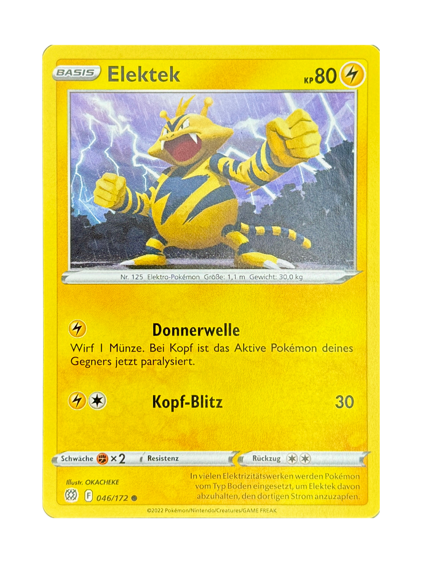 BS 046/172 - Elektek