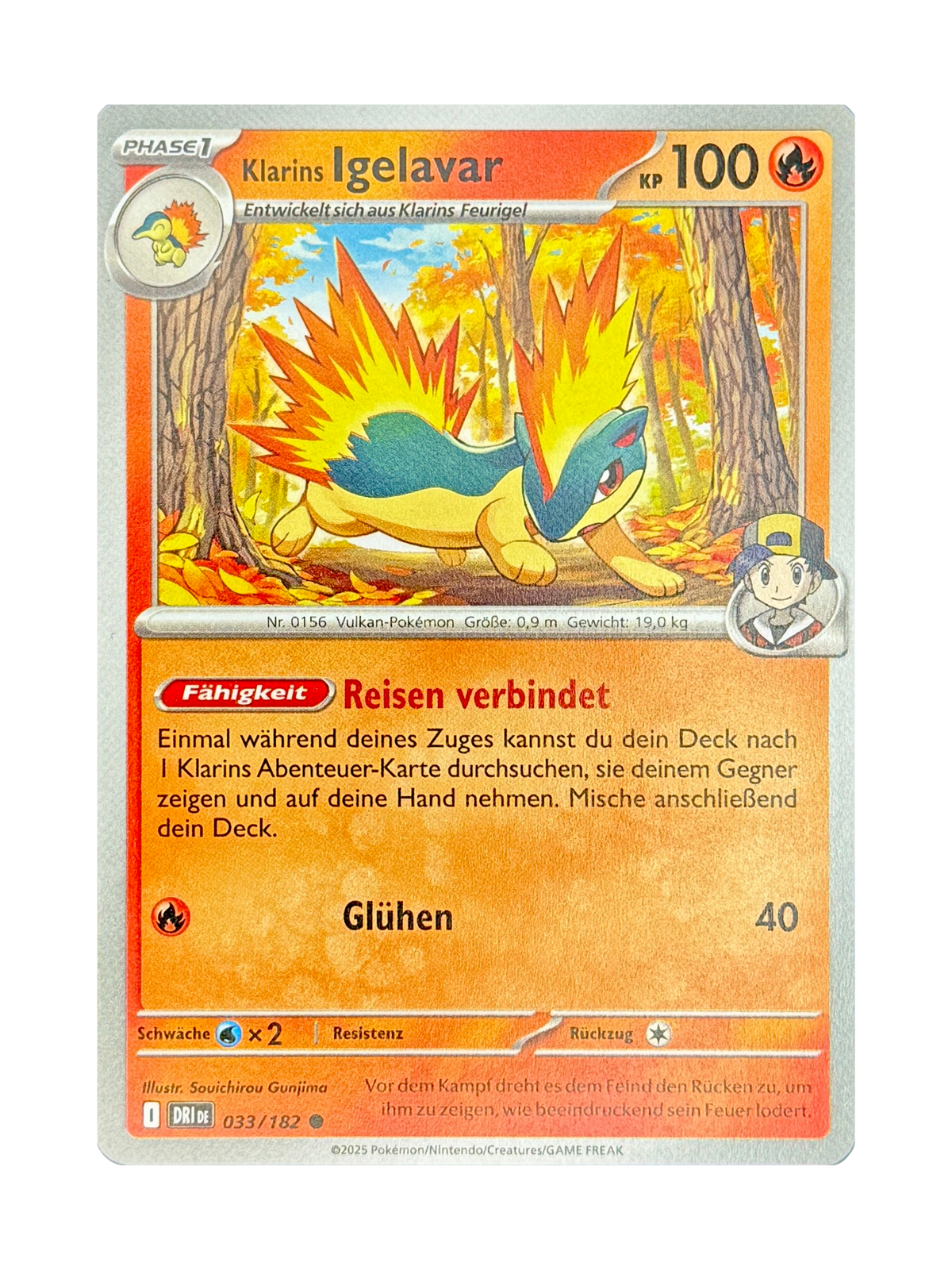 DRI 033/182 - Klarins Igelavar