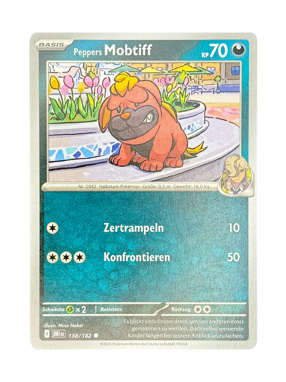 DRI 138/182 - Peppers Mobtiff