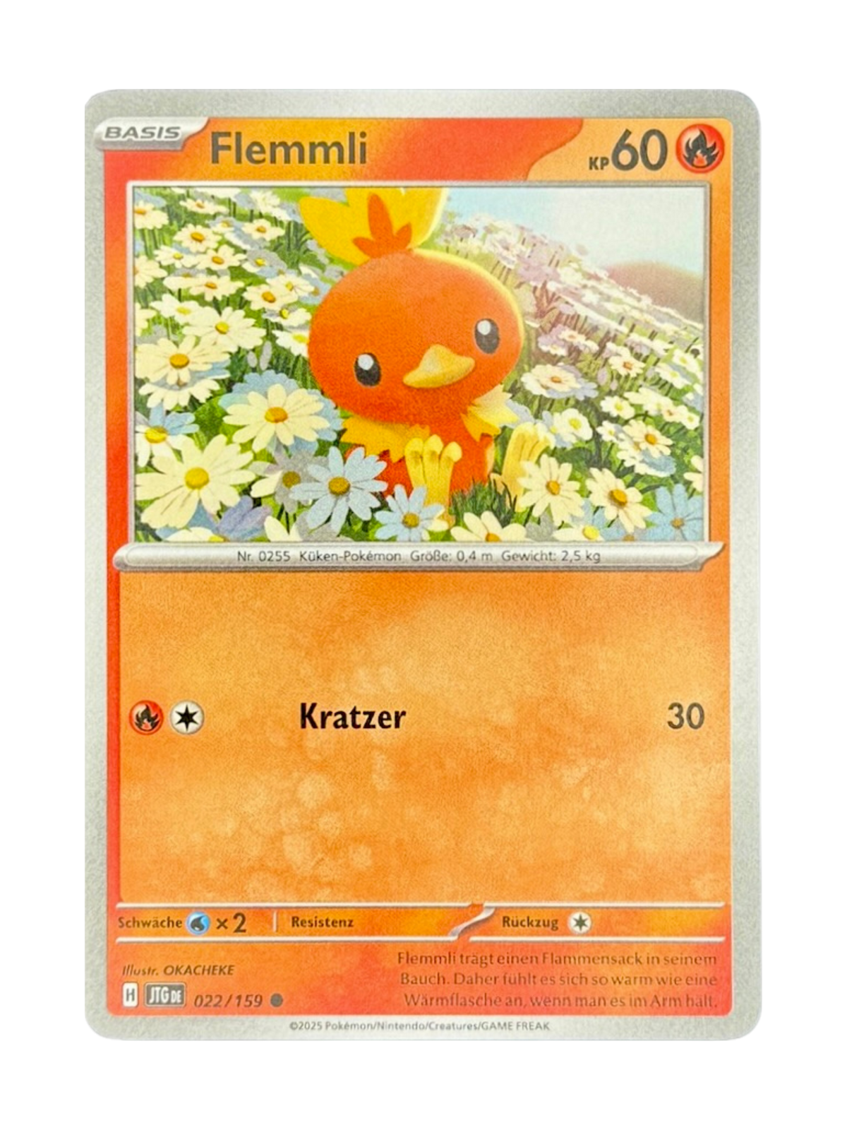 JTG 022/159 - Flemmli