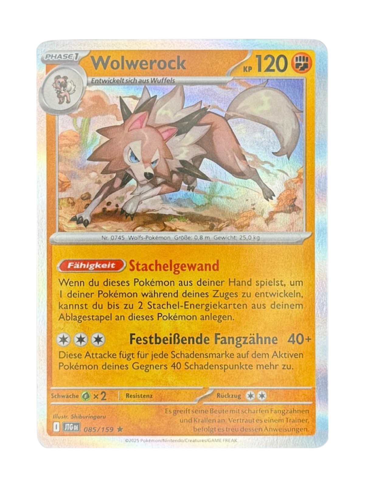 JTG 085/159 - Wolwerock - Holo
