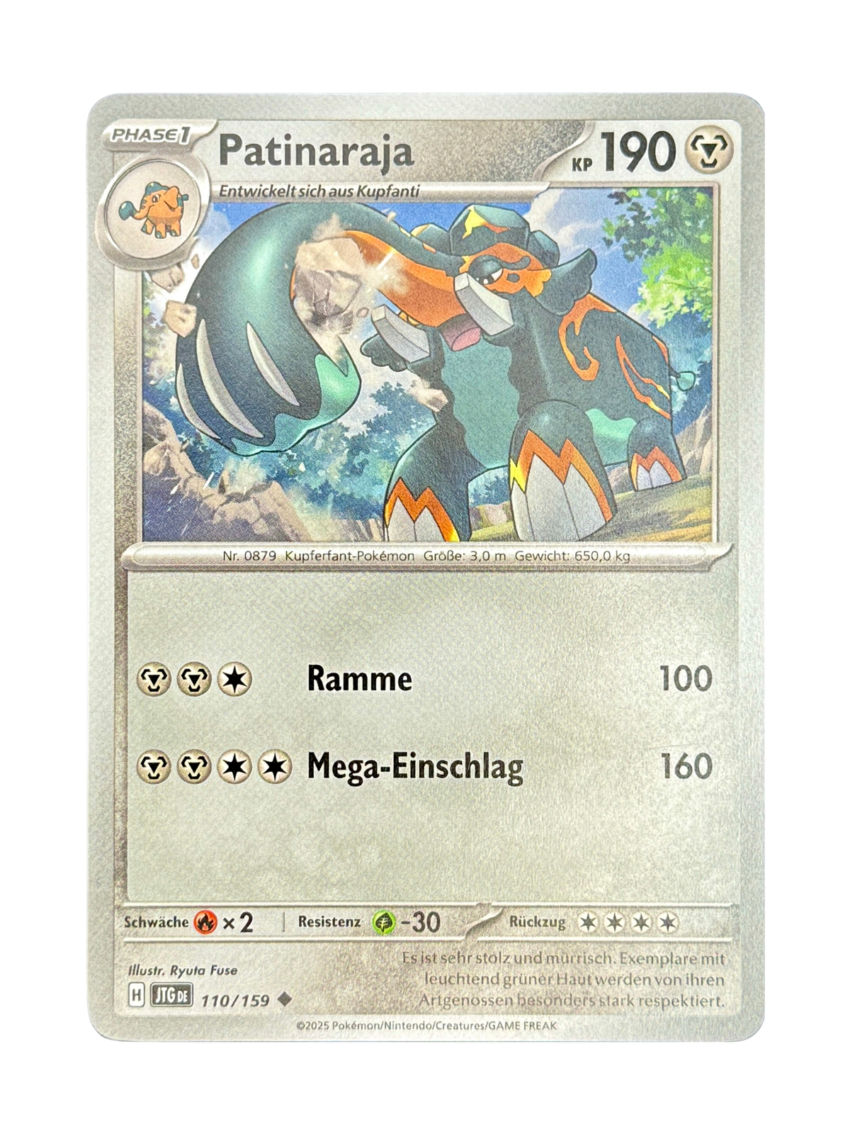 JTG 110/159 - Patinaraja