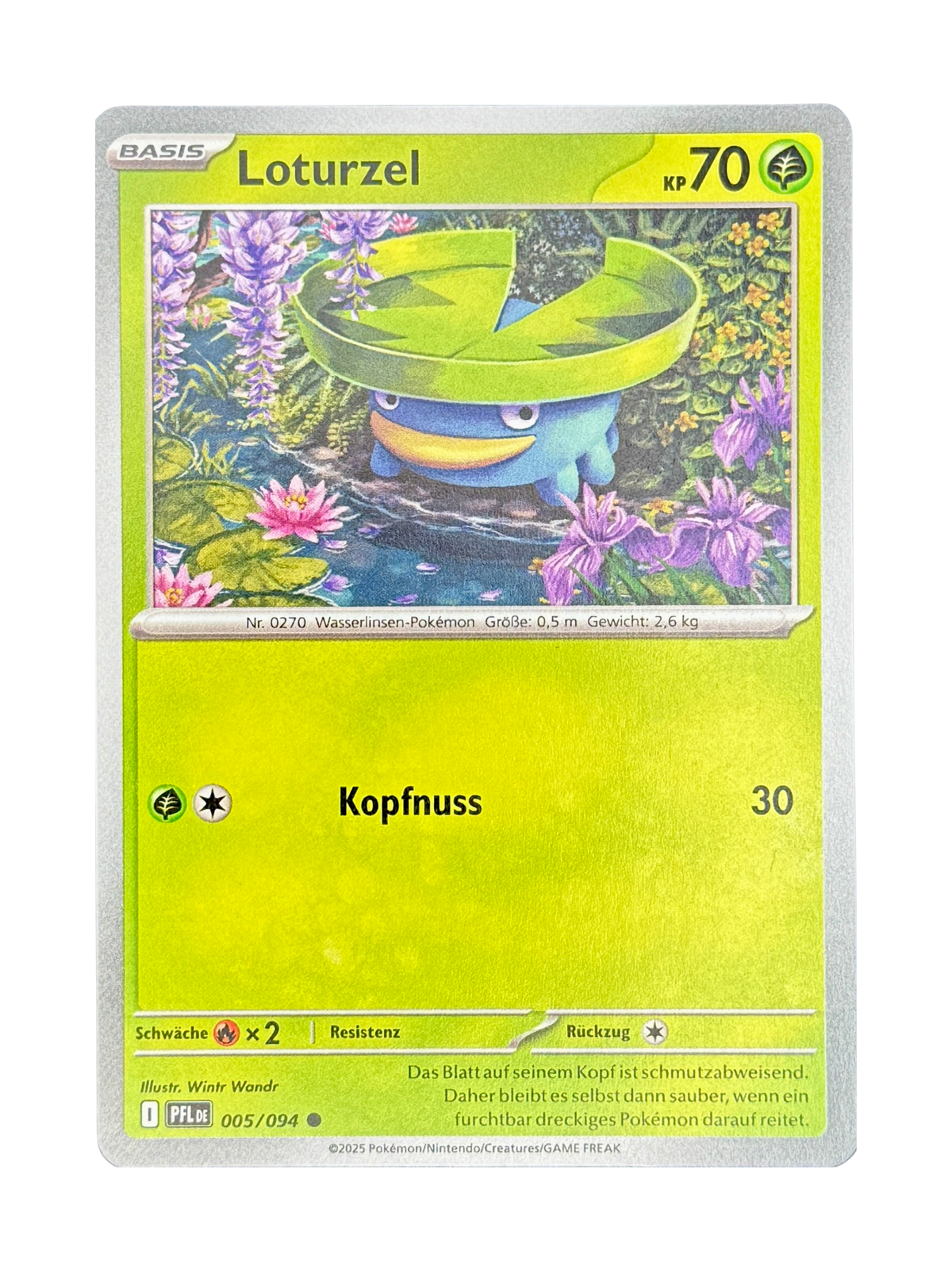 PFL 005/094 - Loturzel