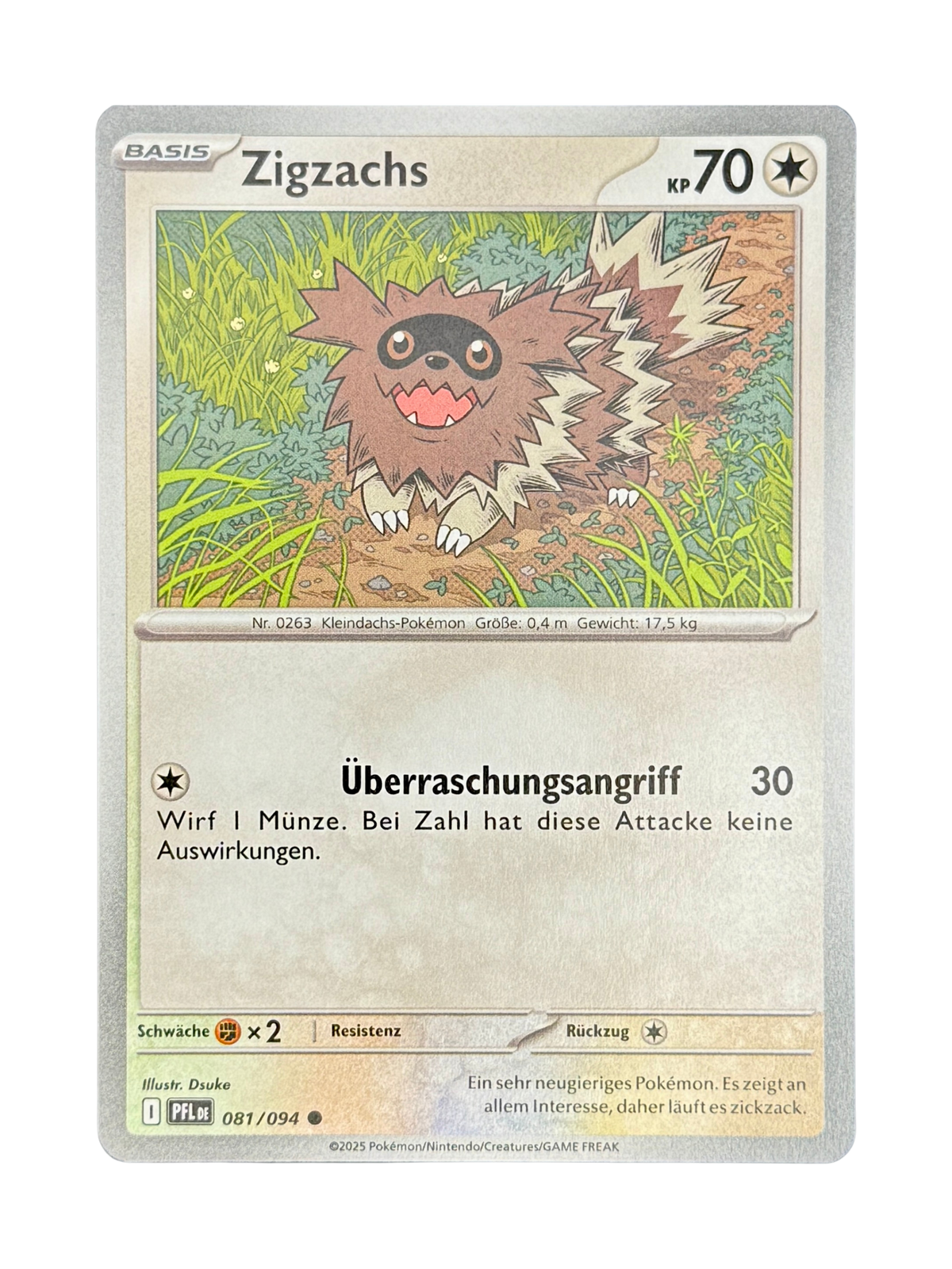PFL 081/094 - Zigzachs