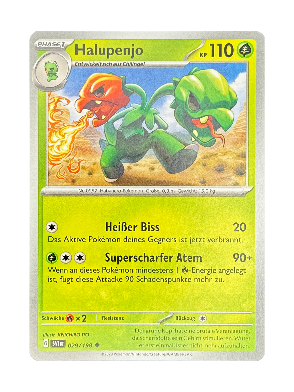 SVI 029/198 - Halupenjo