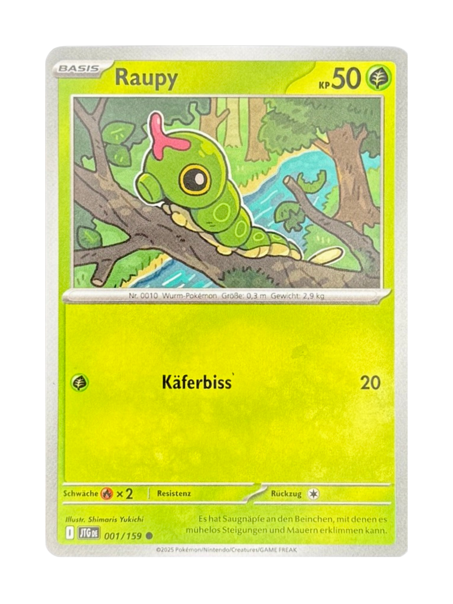 JTG 001/159 - Raupy