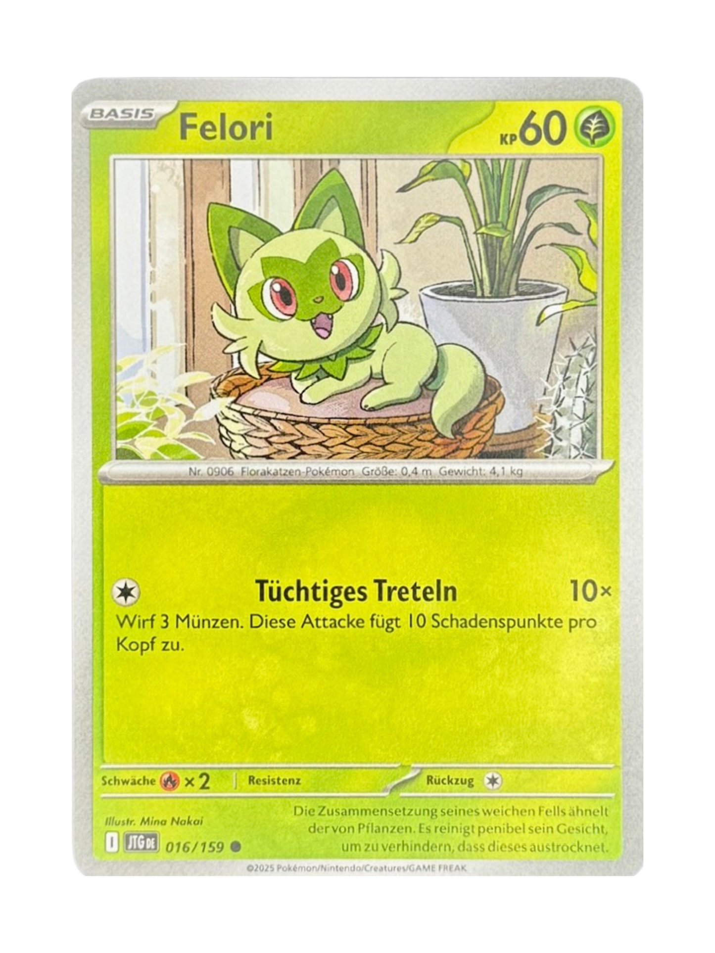 JTG 016/159 - Felori