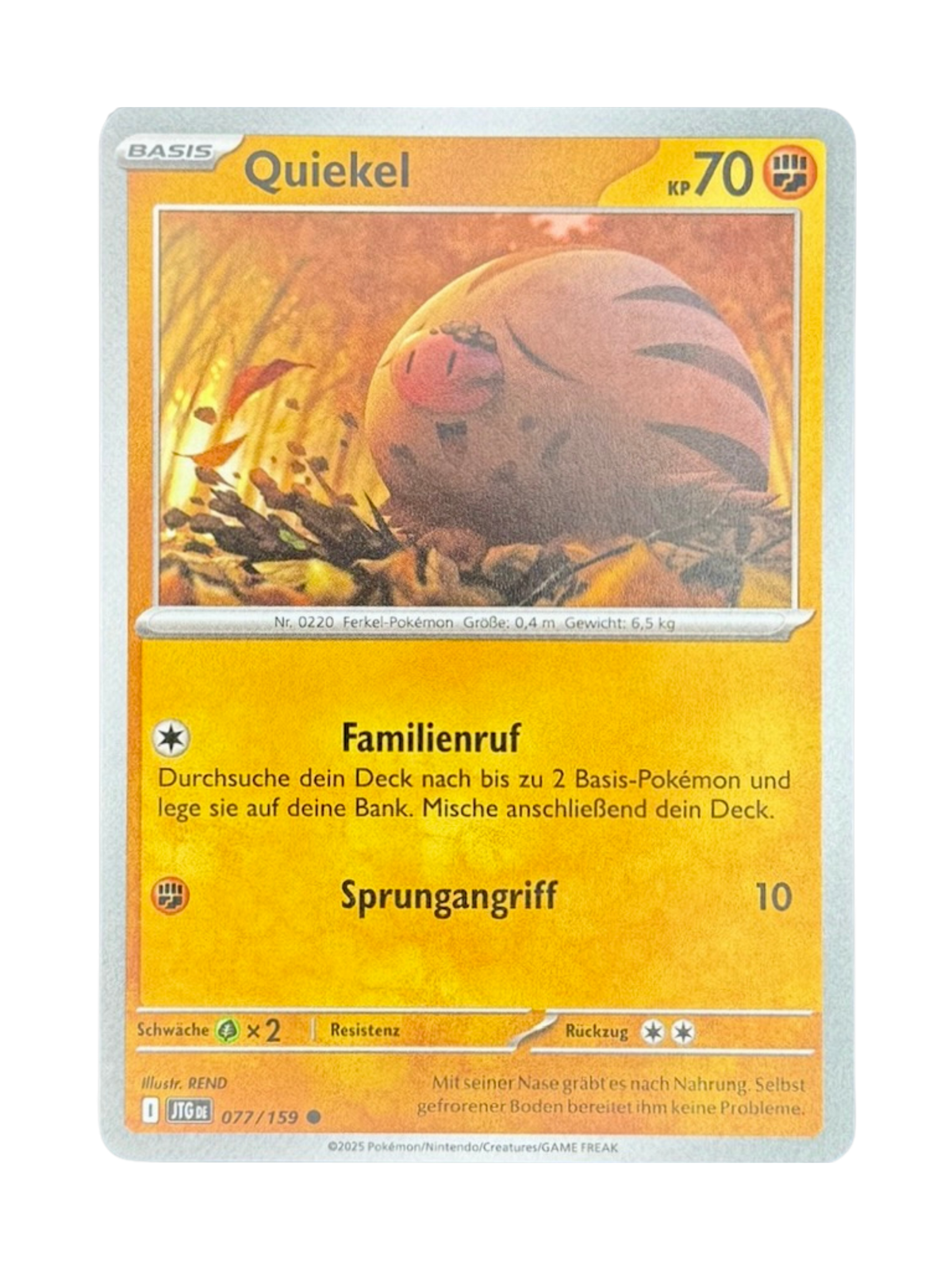 JTG 077/159 - Quiekel