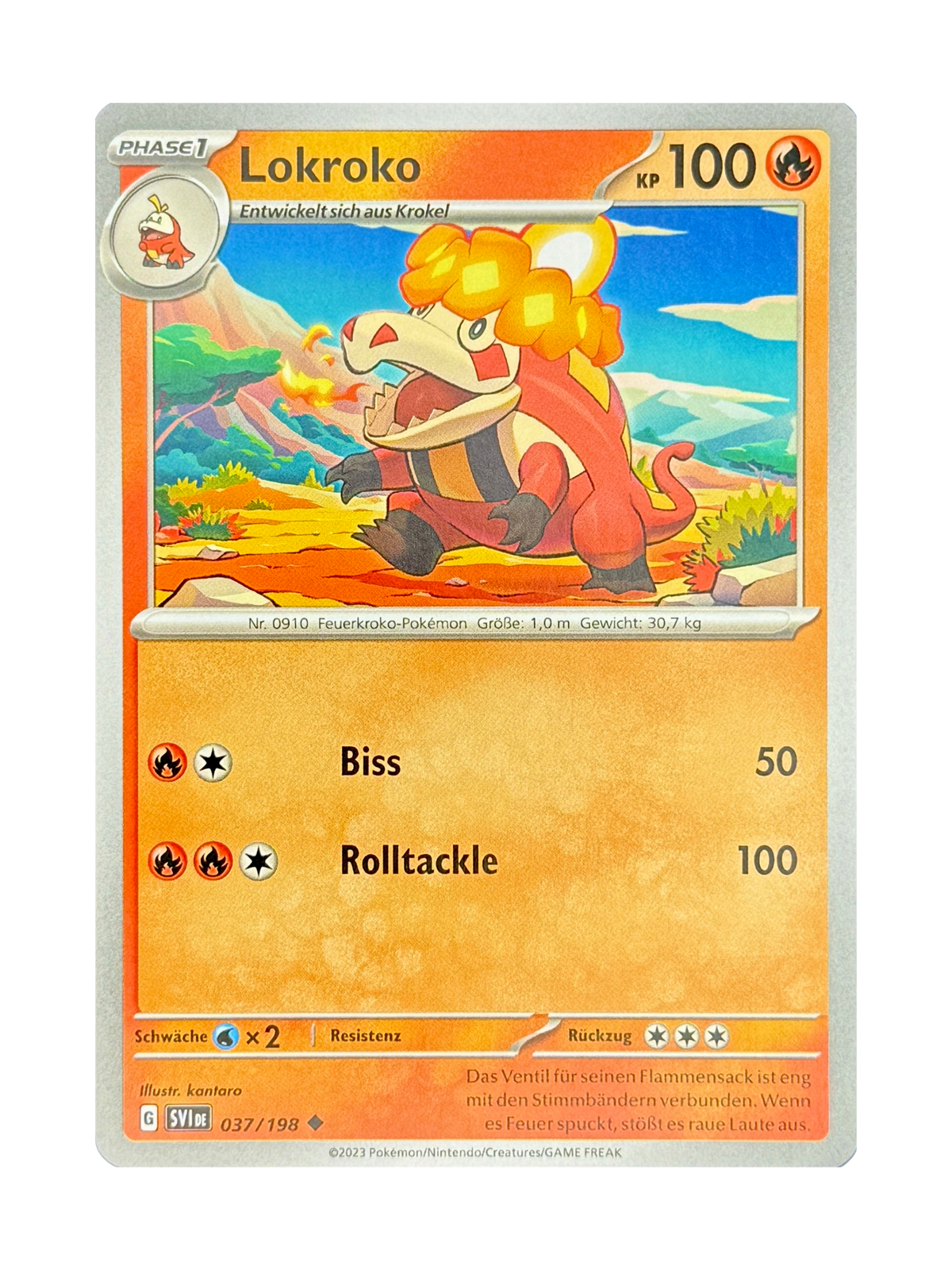 SVI 037/198 - Lokroko