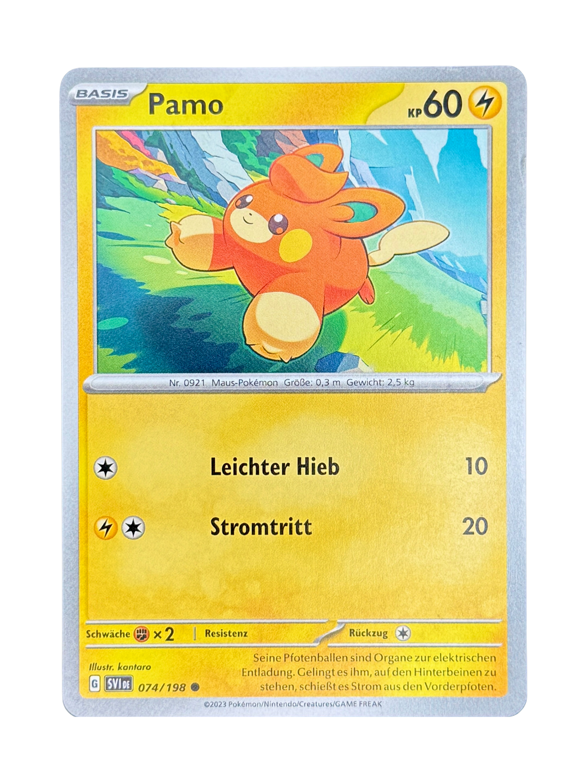 SVI 074/198 - Pamo
